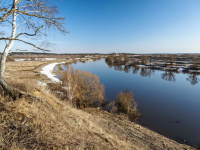 Тёплая зима приводит к появлению 'рыбного' запаха в водопроводе