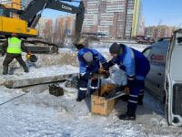 Госдума урегулировала условия технологического присоединения