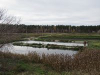 АО «ПКС-Водоканал» производит почвогрунт из осадка сточных вод 