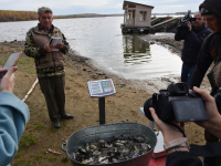 Водоканал Екатеринбурга выпустил более 62 тыс. сазанов в Волчихинское водохранилище